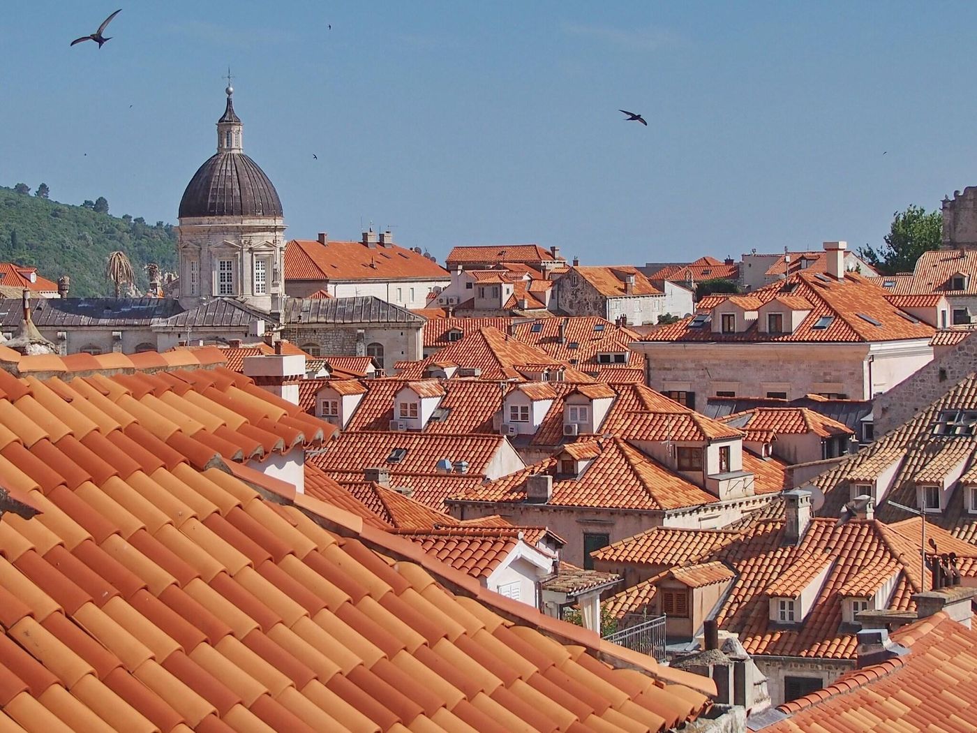 La-Vita-E-Bella-Ii-Room-63