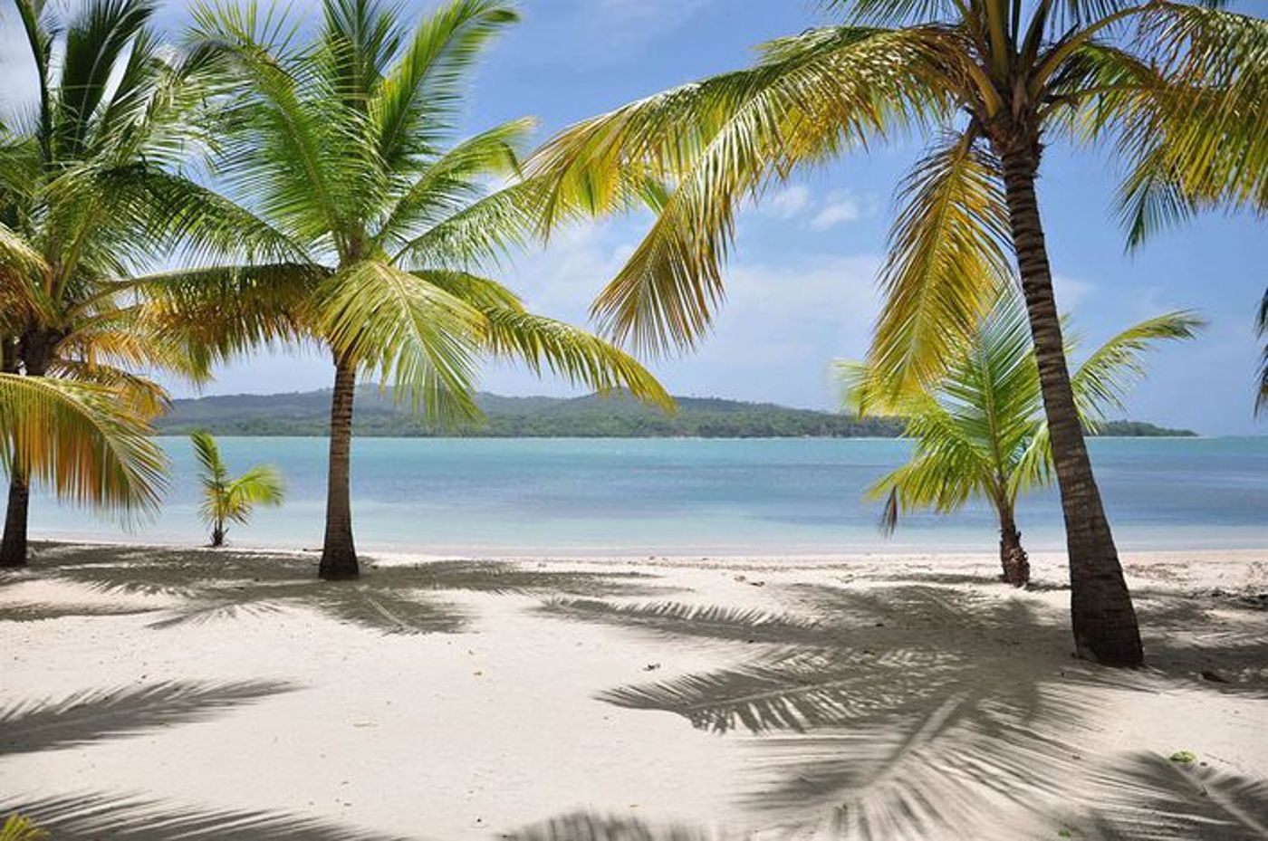 Club Hotel Riu Bachata