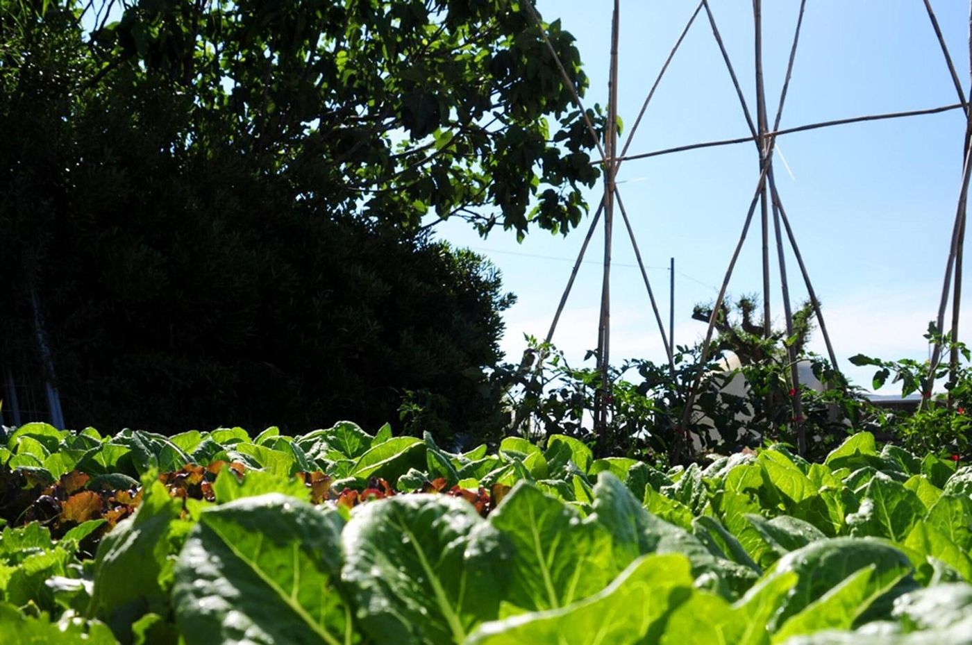 Agriturismo-Frontemare-General-view-16