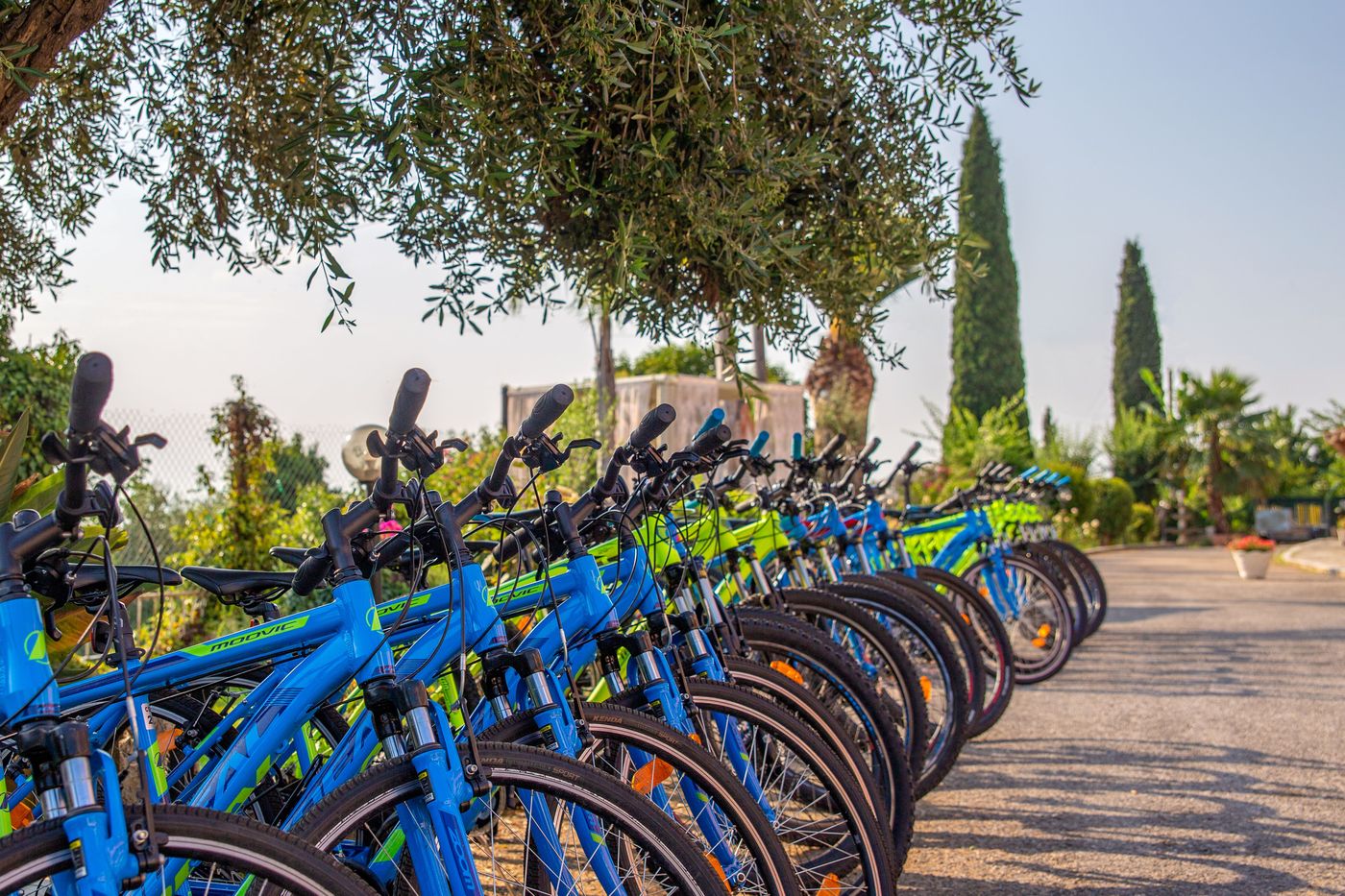 Victoria-Hill-Sports-and-Entertainment-18