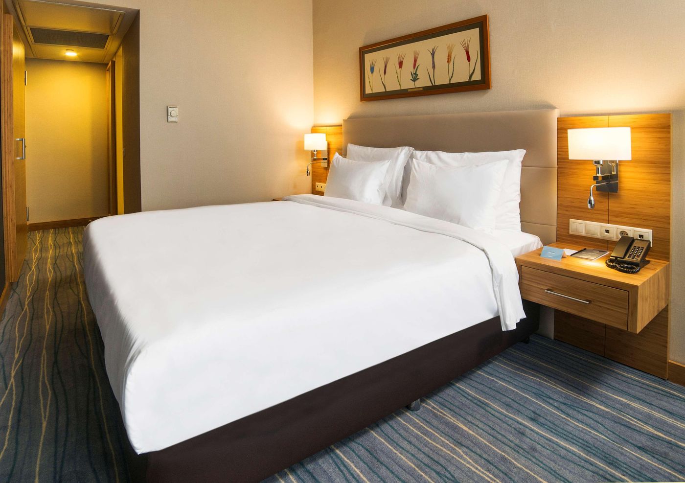 Radisson-Hotel-President-Old-Town-Istanbul-Room-46