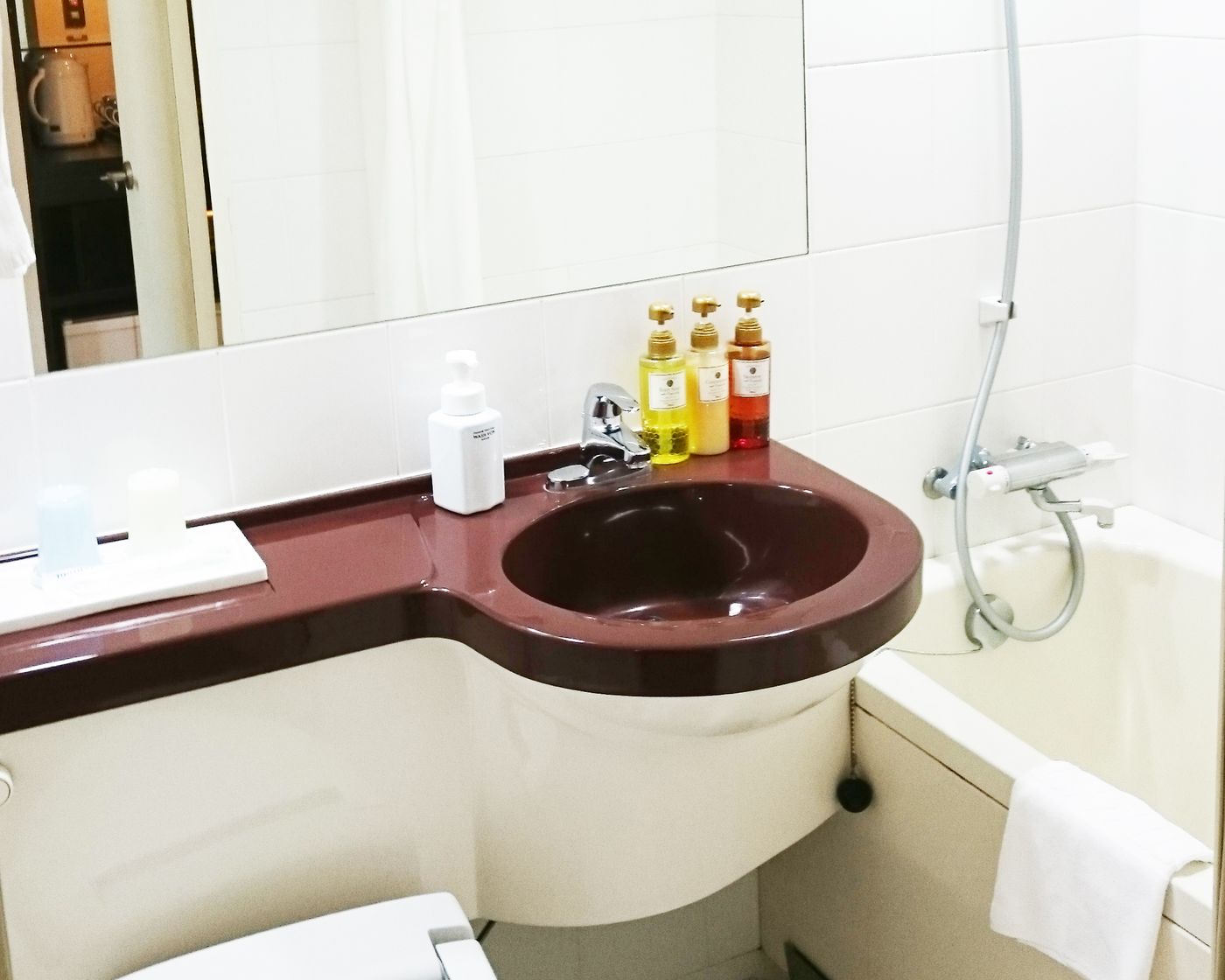 HOTEL MYSTAYS Hamamatsucho-Japan-Tokyo-General view-2