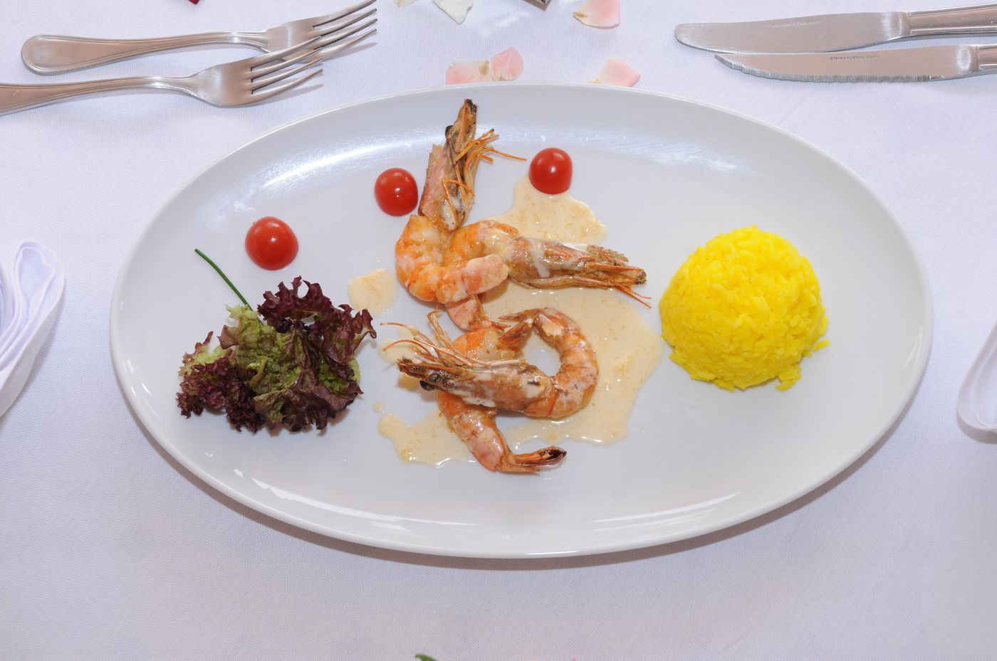 Riad-La-Maison-des-Oliviers-Restaurant-38