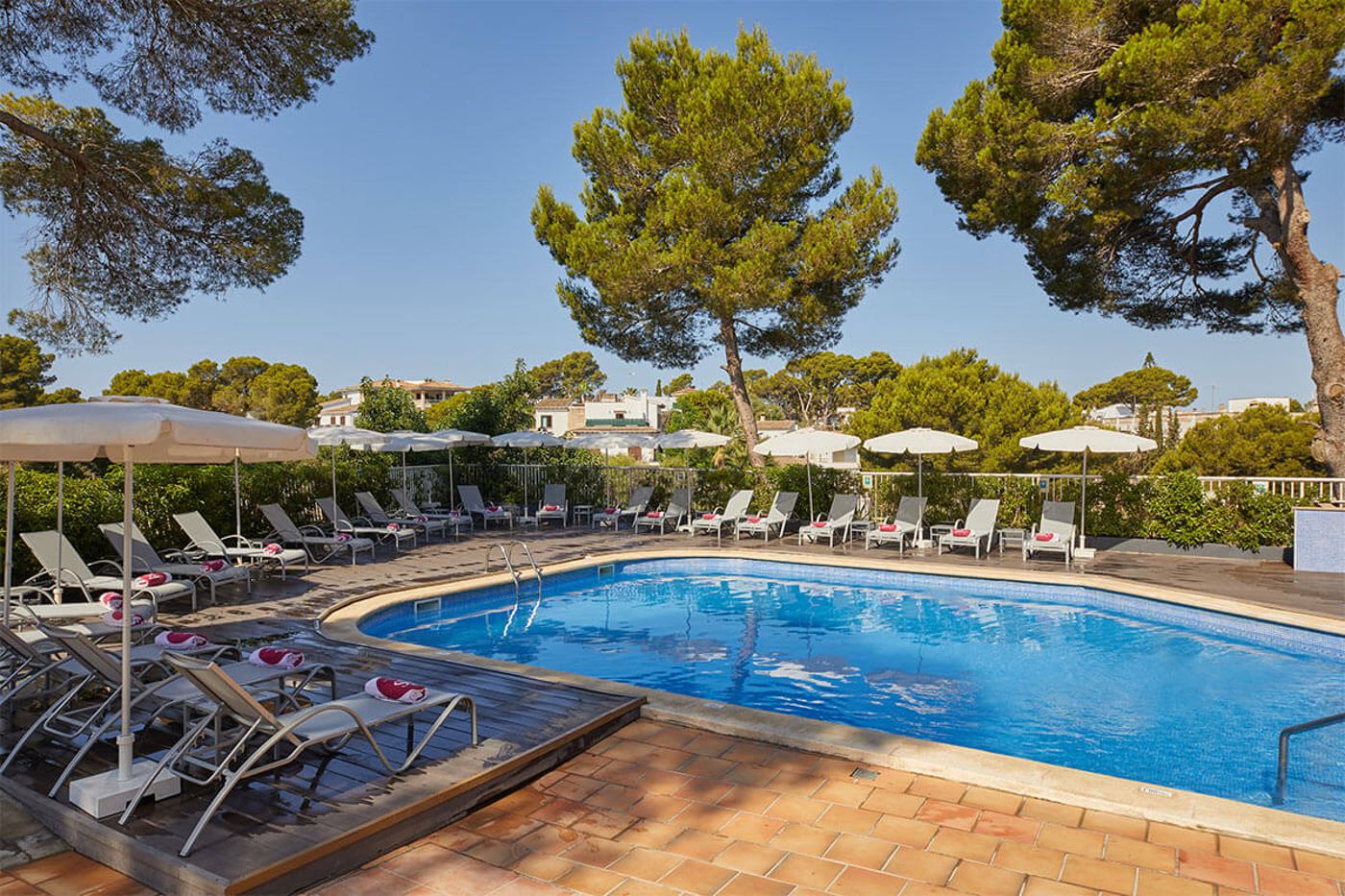 JS Paradise Sport - Adults Only