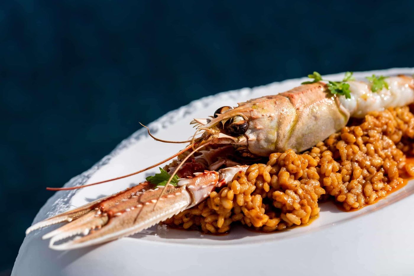 Royal-Hideaway-Corales-Beach---Adults-Only--part-of-Barcel---Hotel-Group-Restaurant-88