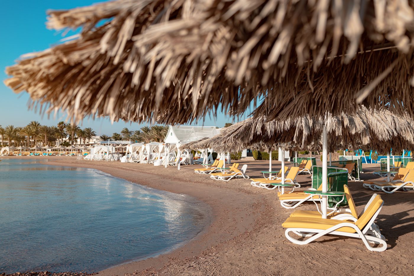 New - Lemon & Soul Makadi Garden