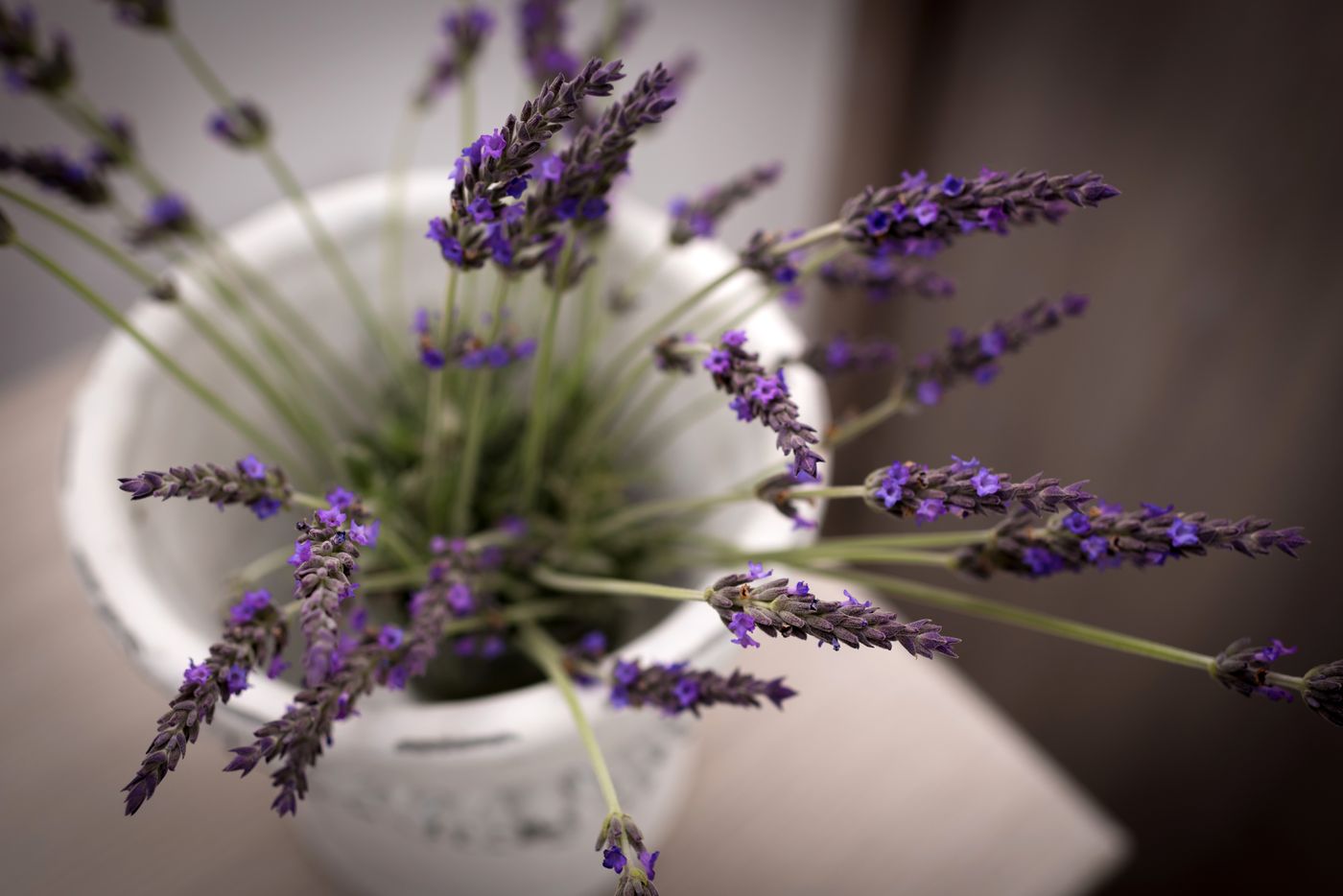 White Harmony Suites-Greece-MEGALOCHORI-Lobby-8