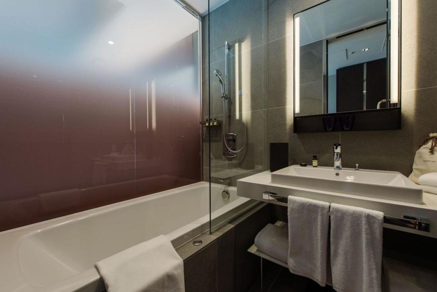 Pullman Tokyo Tamachi-Japan-TOKYO-General view-8