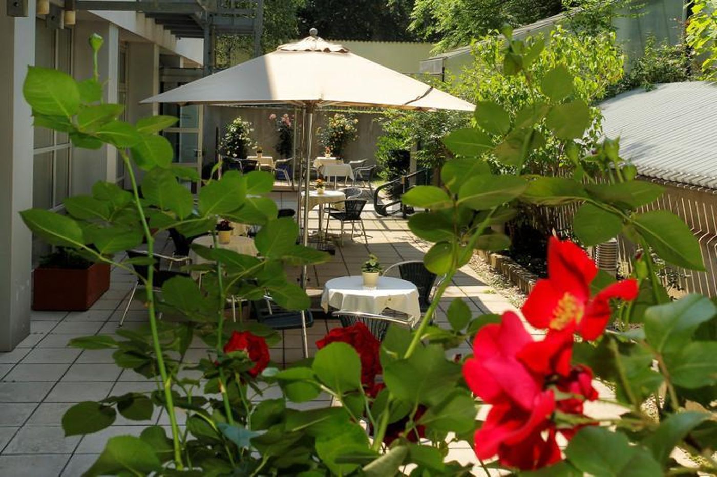 Hotel Palais Strudlhof - Austria - Vienna - Terrace - 6