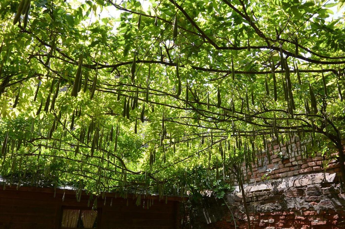 Falier-General-view-11