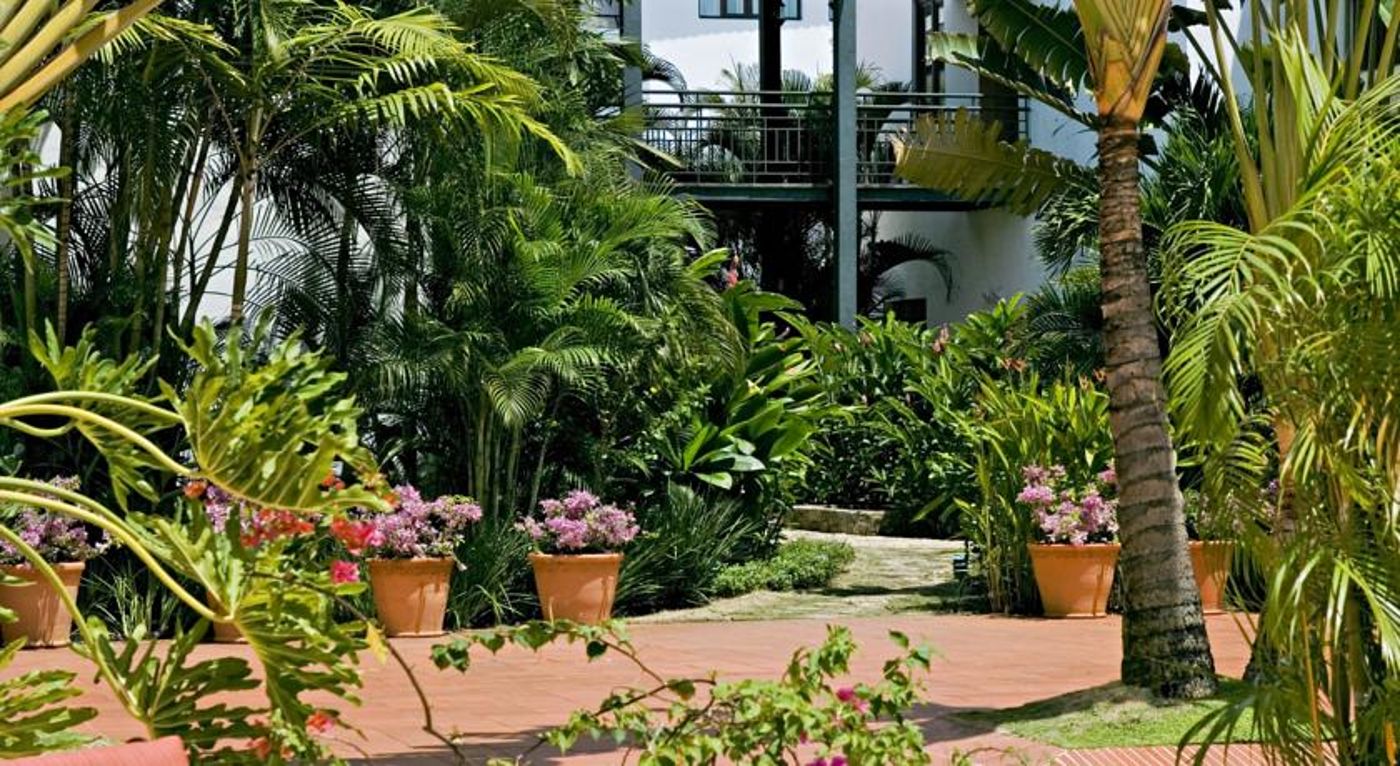 Hodelpa Nicolas de Ovando