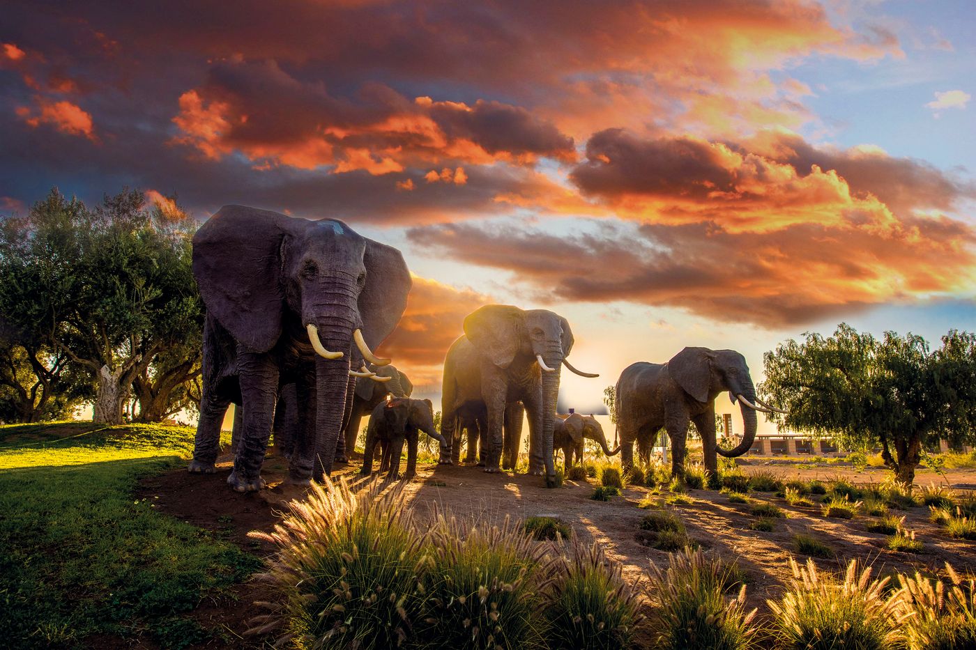 Le-Vizir-Center-Park---Resort-General-view-15