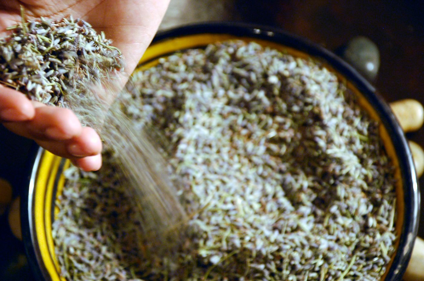 Palais-Jena-spa-General-view-22