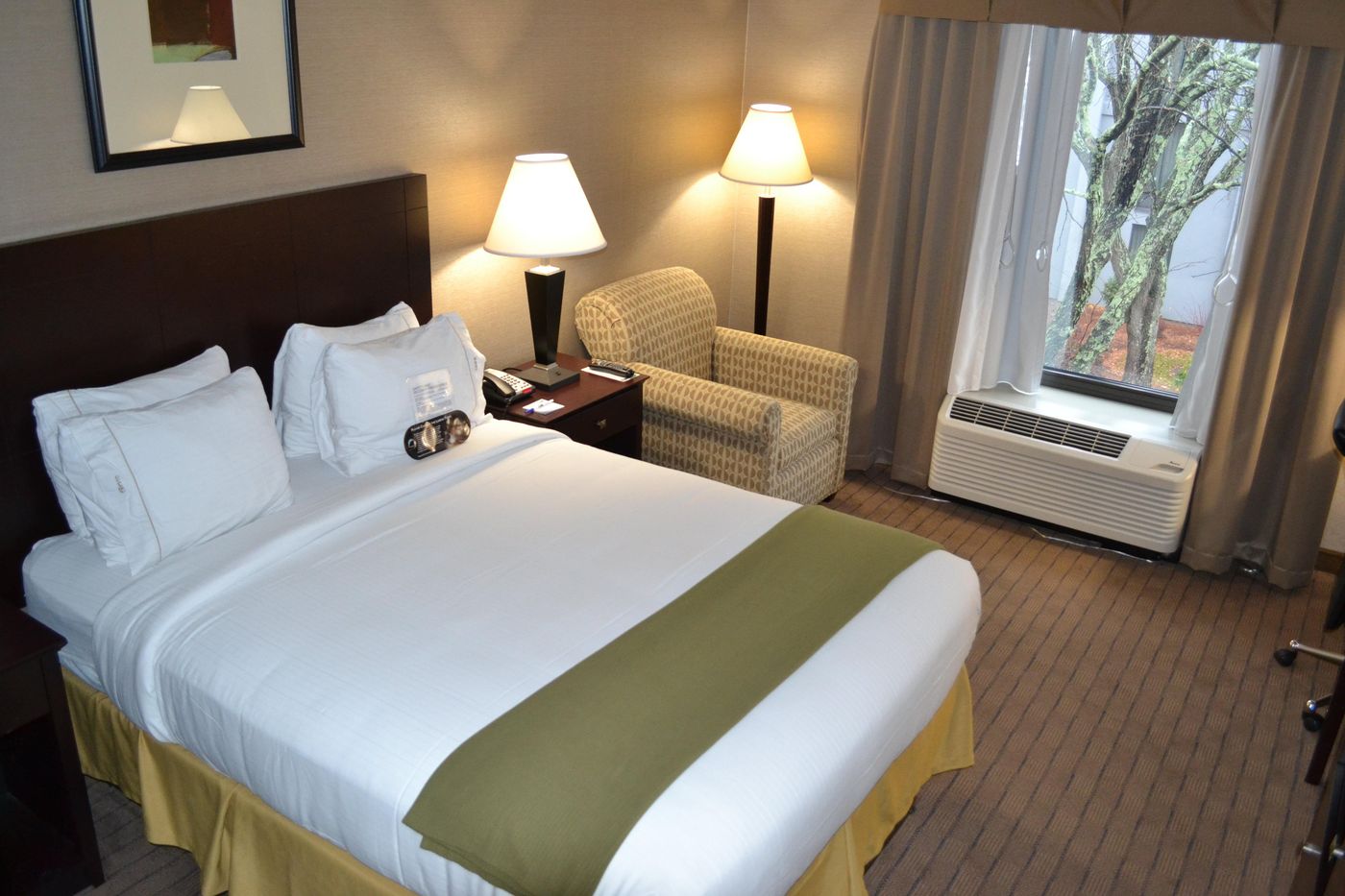 Holiday-Inn-Express-Boston-Brockton-Room-5