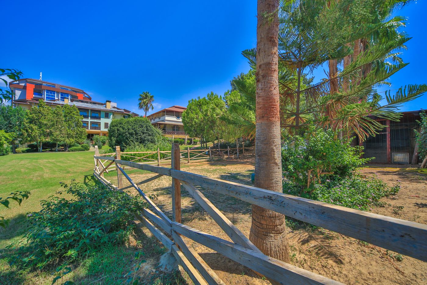 Lonicera--World-General-view-22