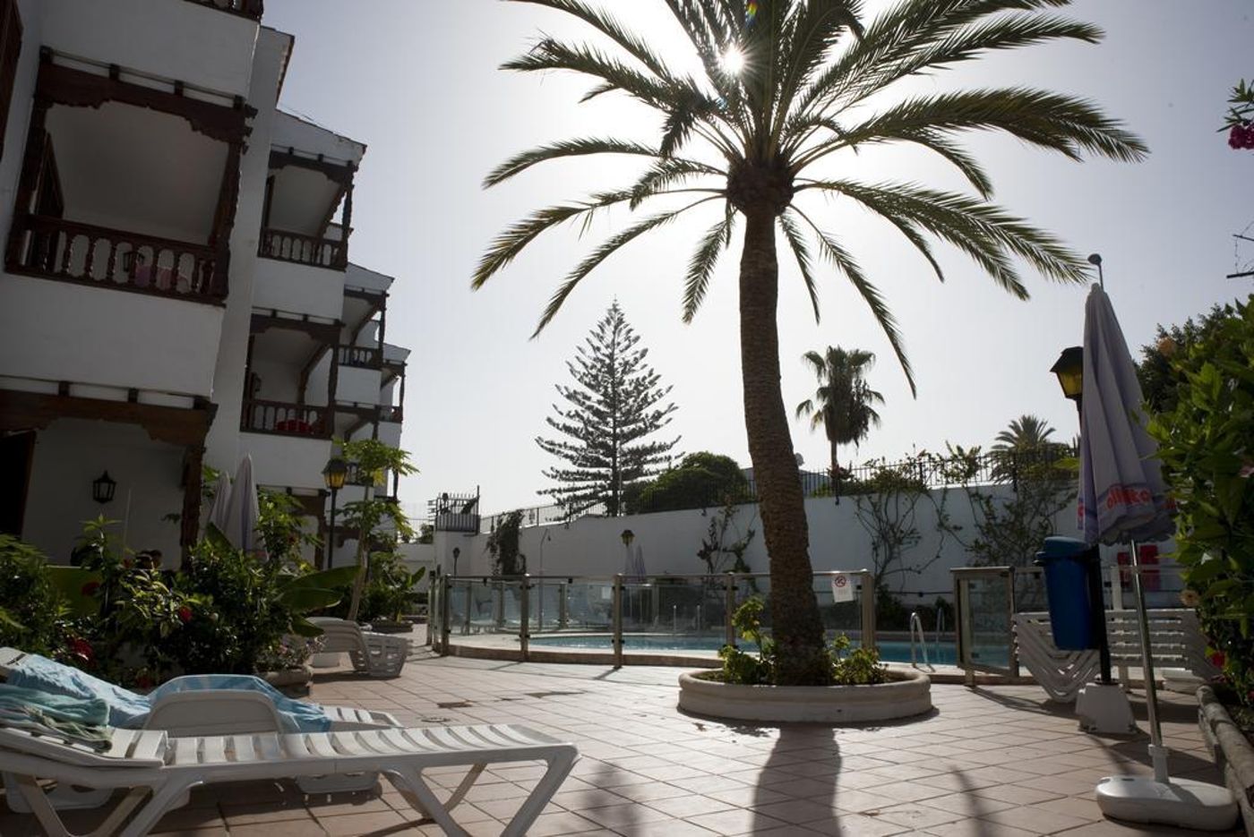 Las-Orquideas-General-view-4