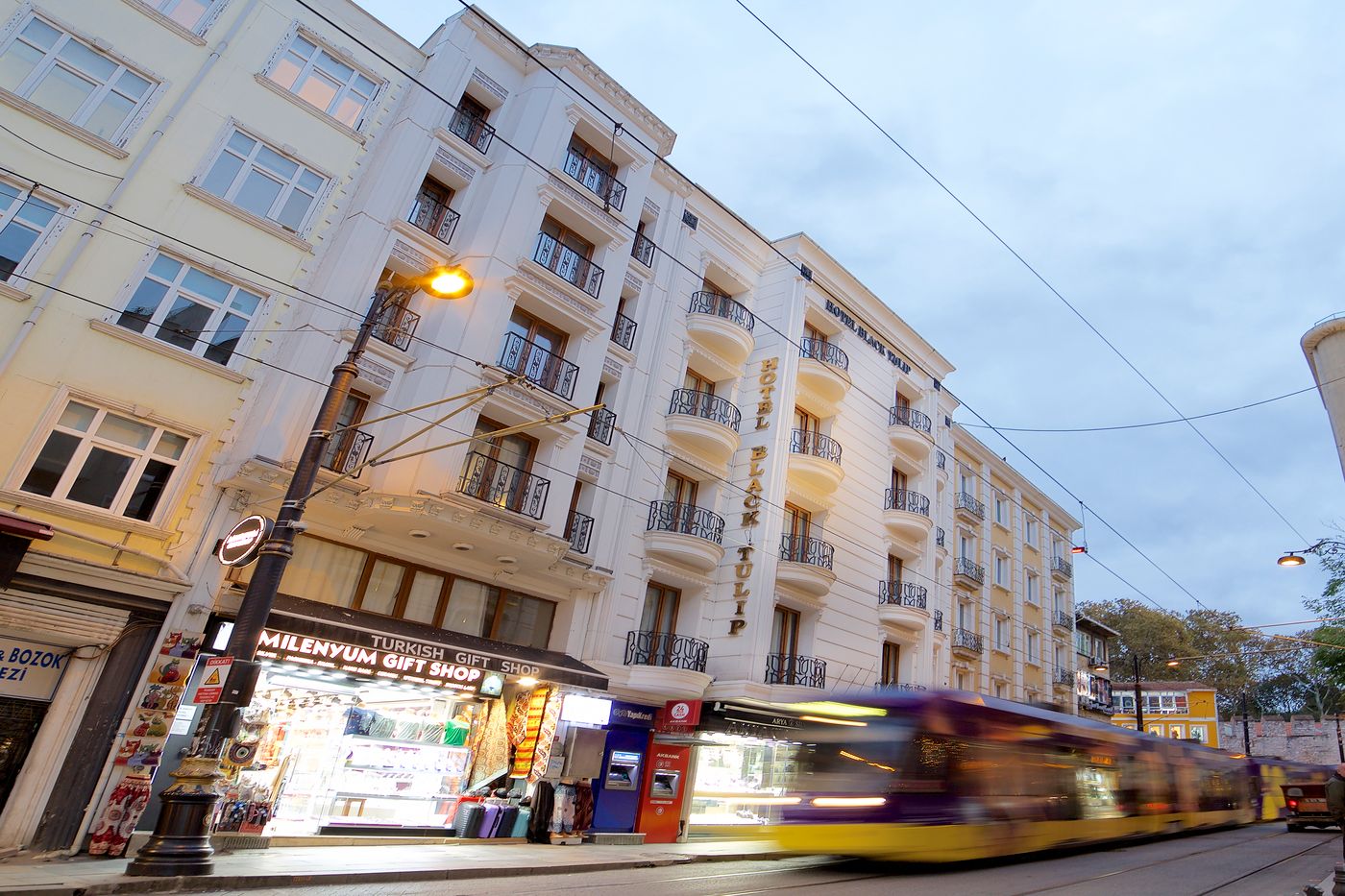 Hotel-Black-Tulip-General-view-11