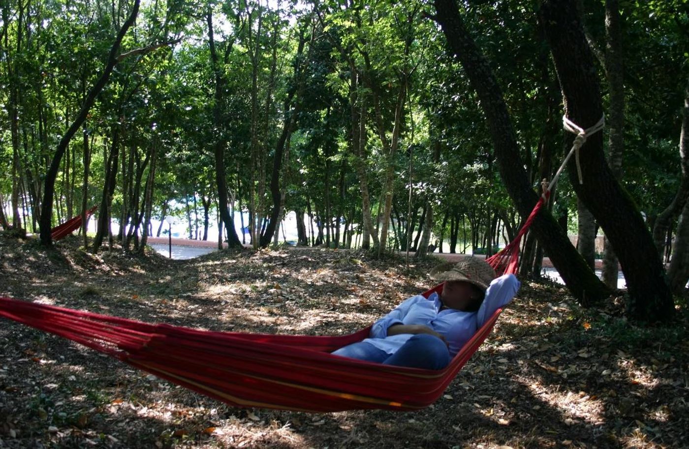 Pausania-Inn-Sports-and-Entertainment-41