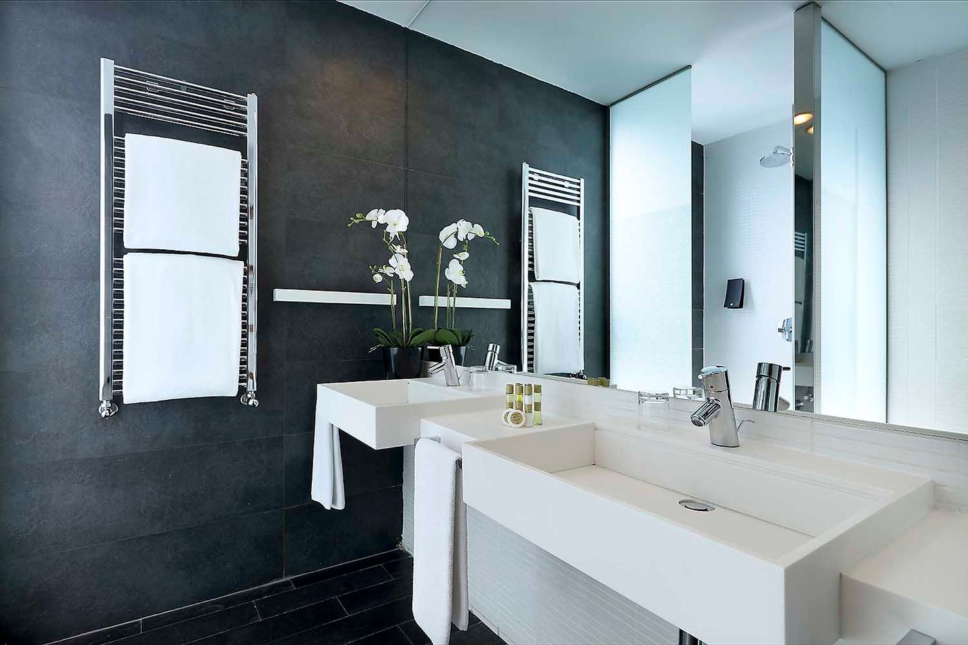 Rafaelhoteles-Madrid-Norte-Room-24