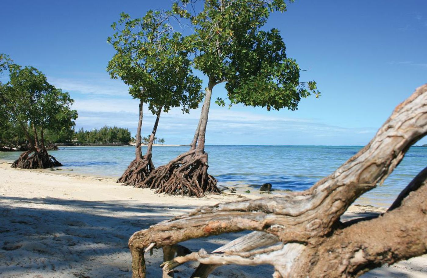 Jalsa Beach Hotel Mauritus