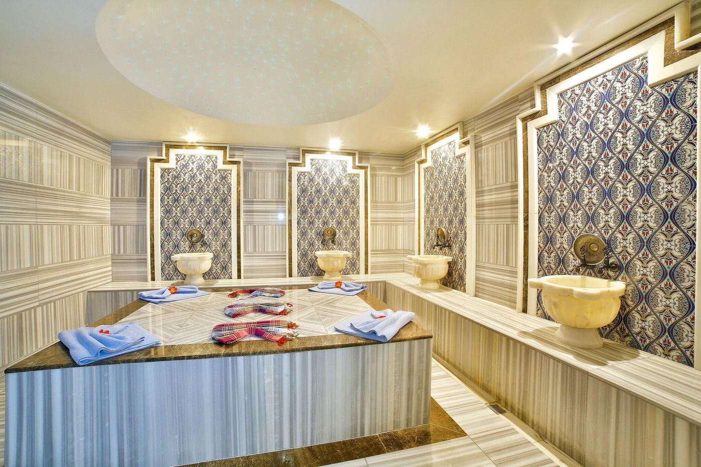 Lion-Sports-and-Entertainment-47