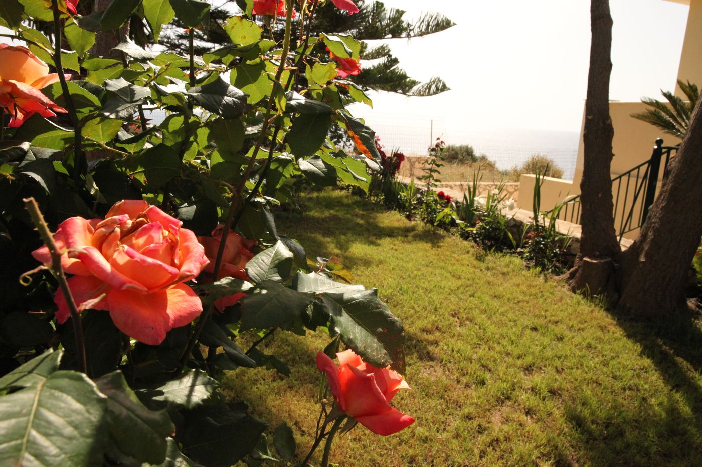 Agnantio-General-view-19