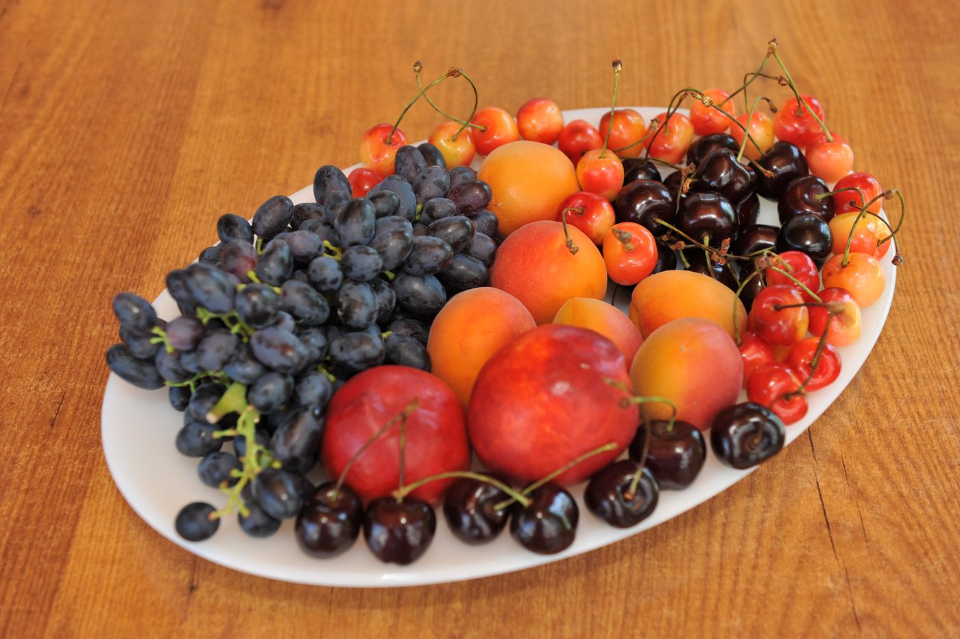 Maritime-Conferences-26