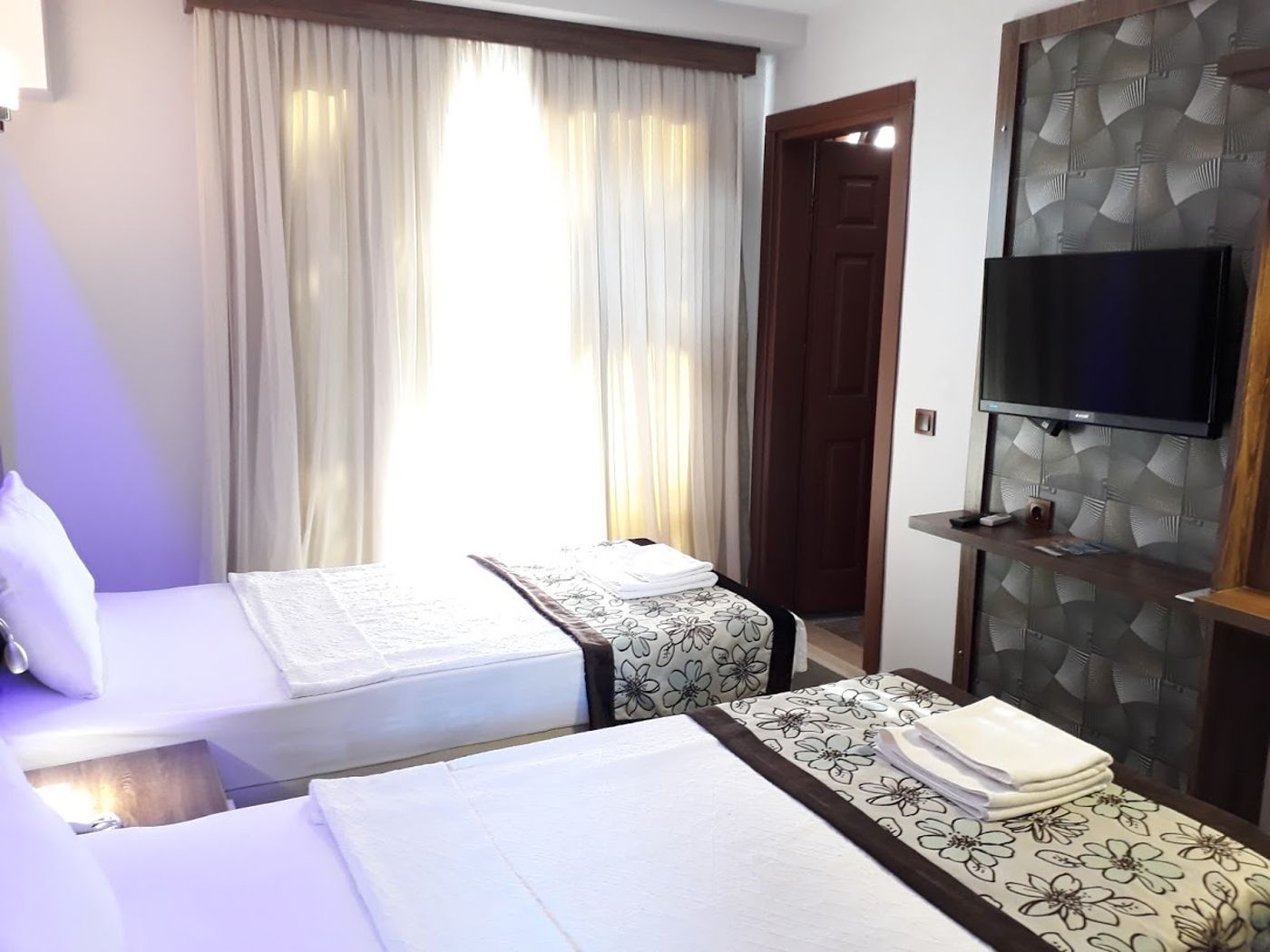 Dolphin-Apart-Room-22