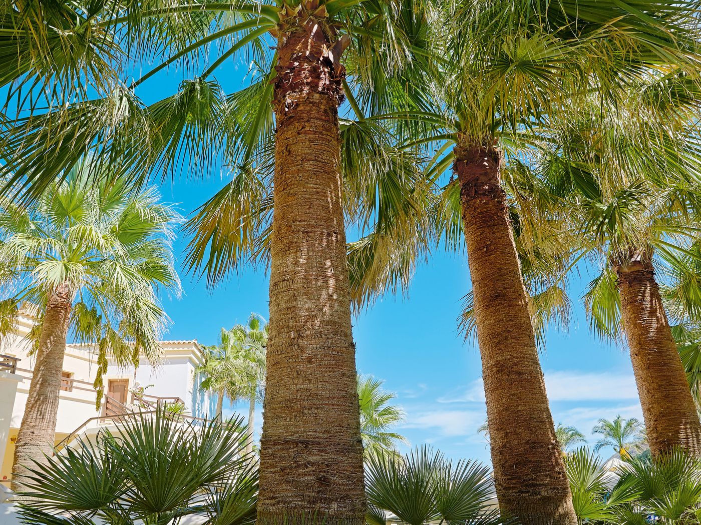 Grecotel-Marine-Palace---Aqua-Park-Room-14