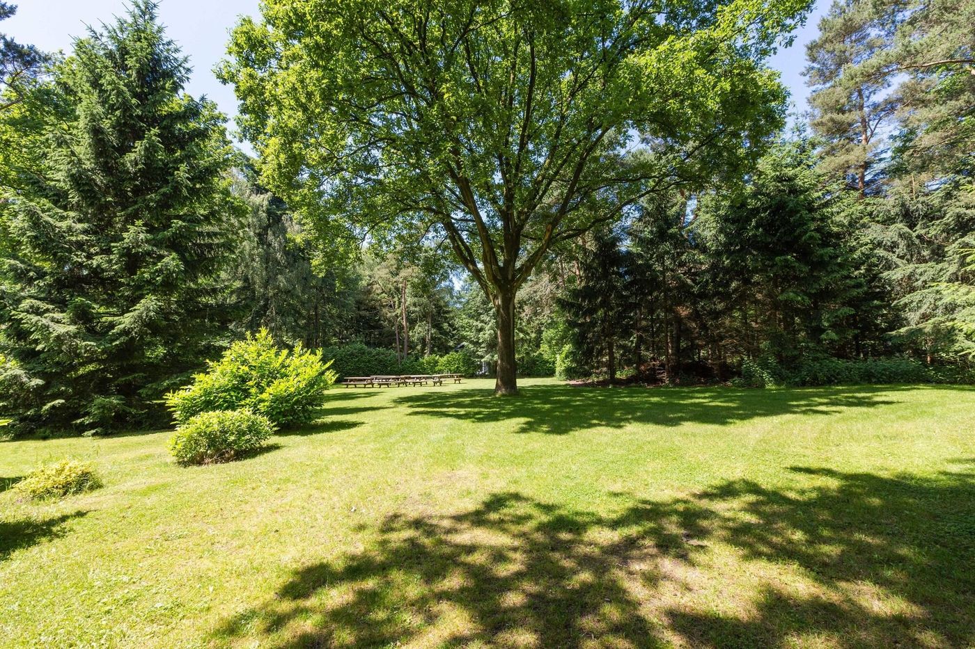 Buitenplaats De Bergse Bossen-Netherlands-DRIEBERGEN-General view-5