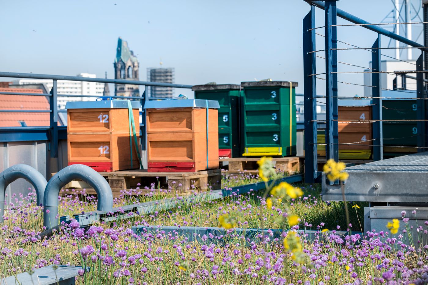 Scandic Berlin Kurfürstendamm - Germany - BERLIN - General view - 7