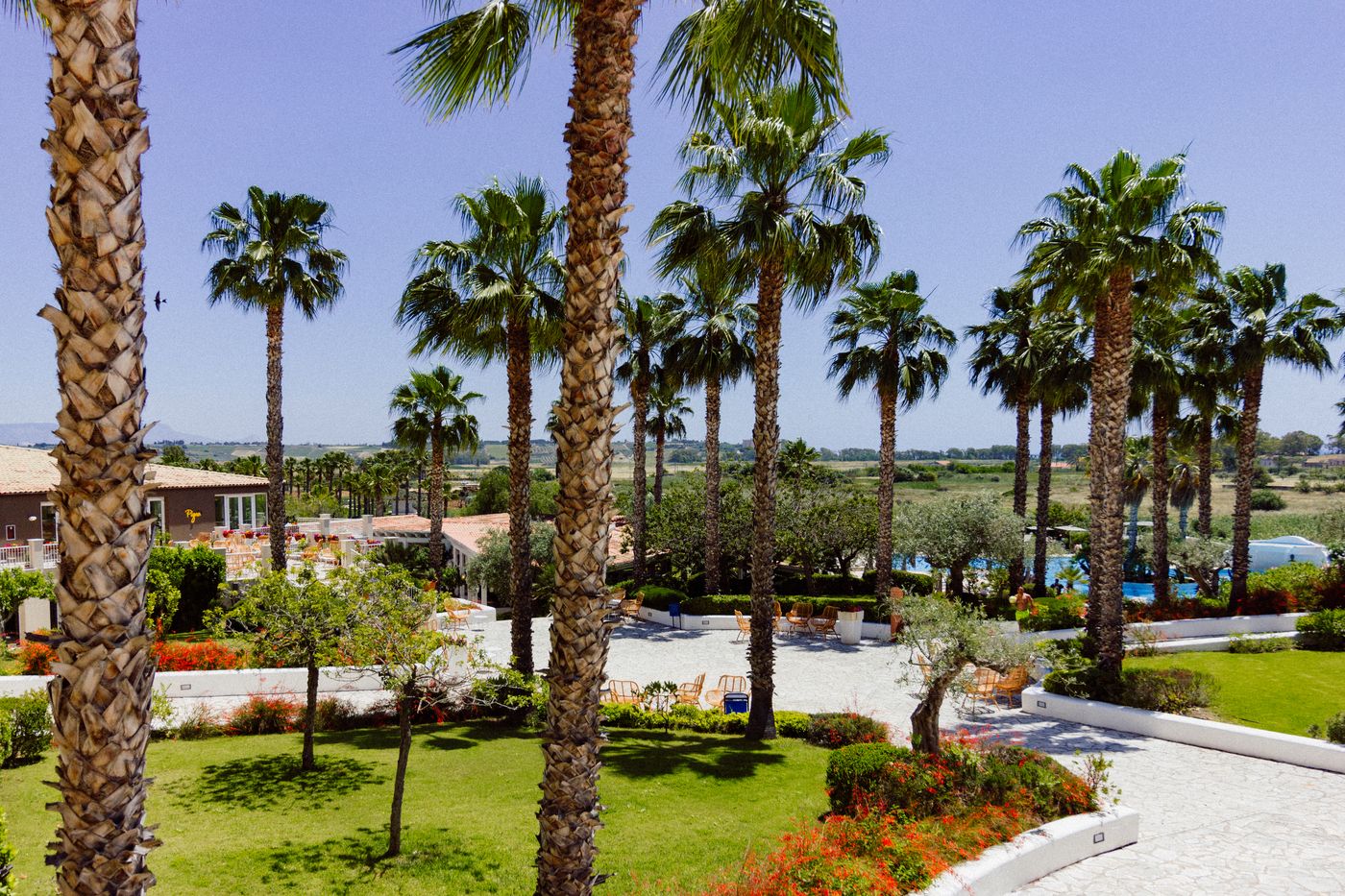 Mangias Selinunte Sicily