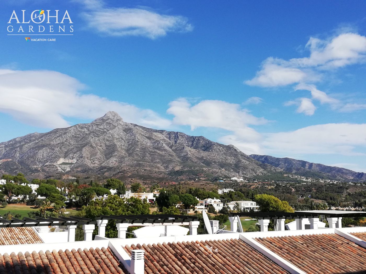 Aloha-Gardens-General-view-56