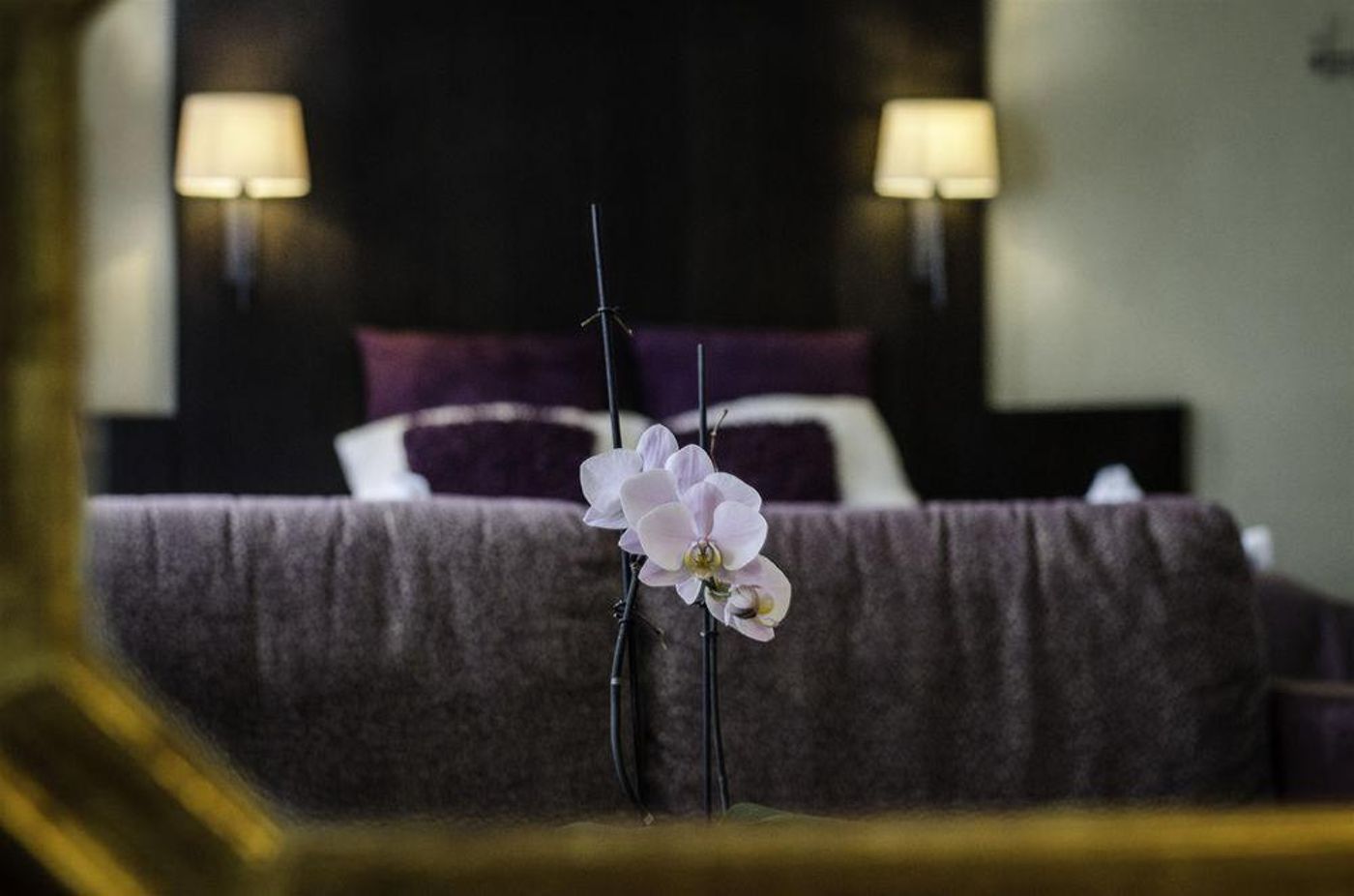 Gulden Vlies-Belgium-BRUGES -General view-10