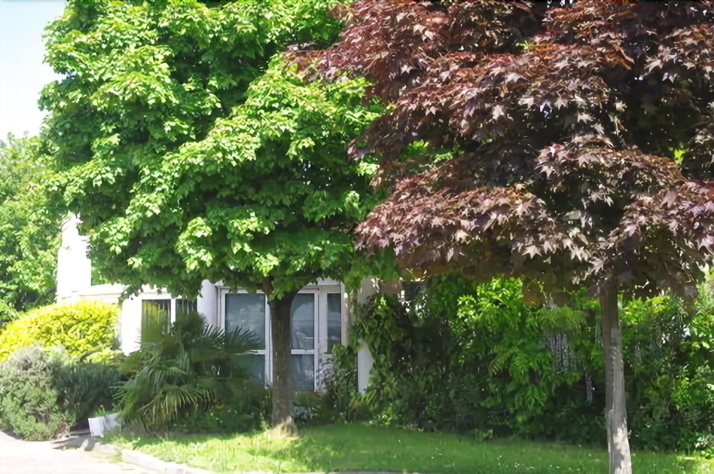 Hôtel du Moulin à Vent - France - VENISSIEUX - General view - 5
