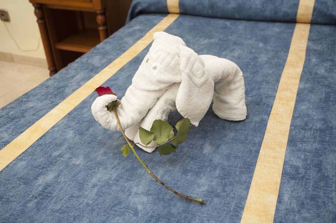 Bajamar-General-view-26