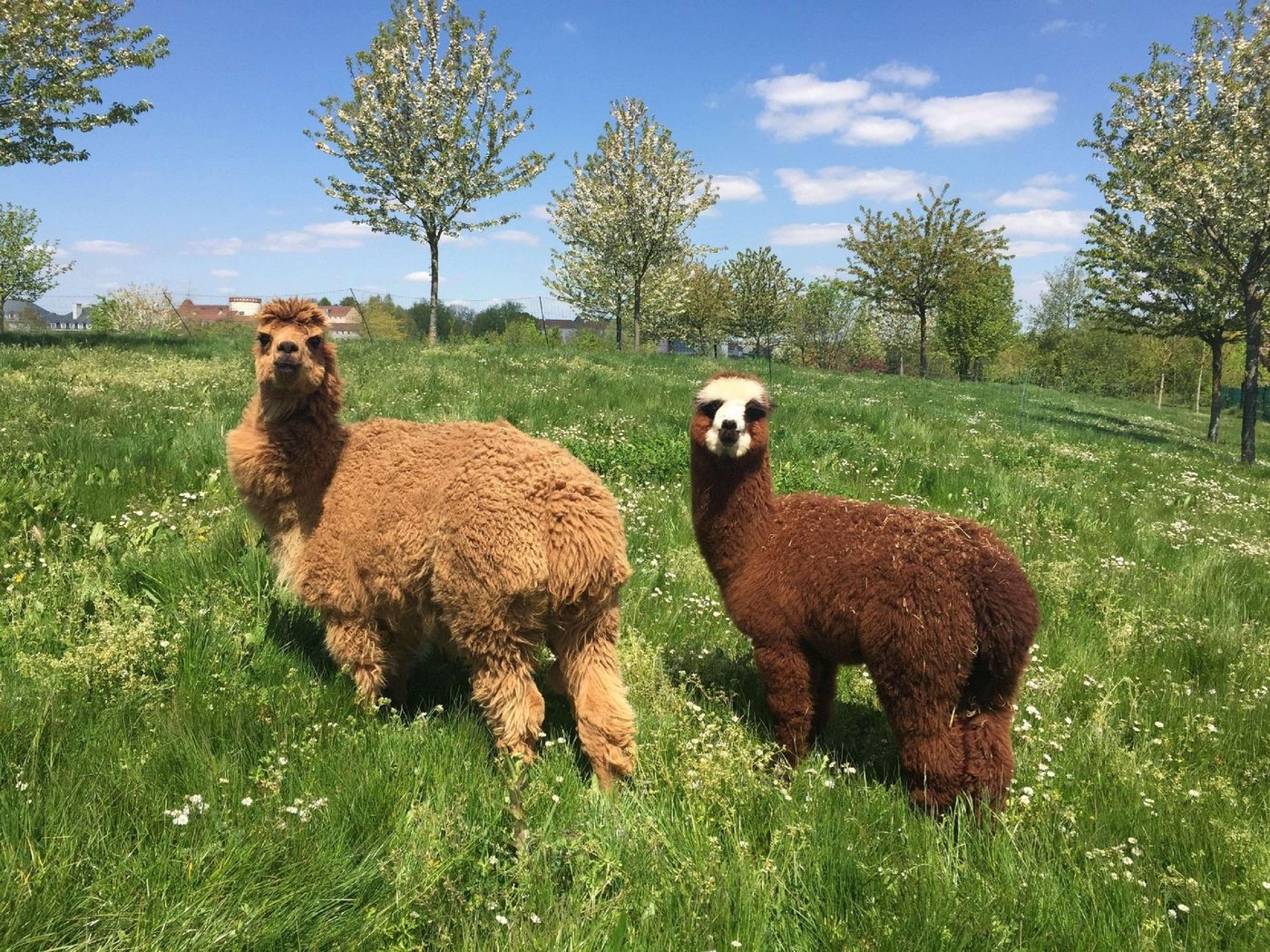 Campanile Val de France Ex Kyriad Disneyland-France-Magny Le Hongre-General view-10