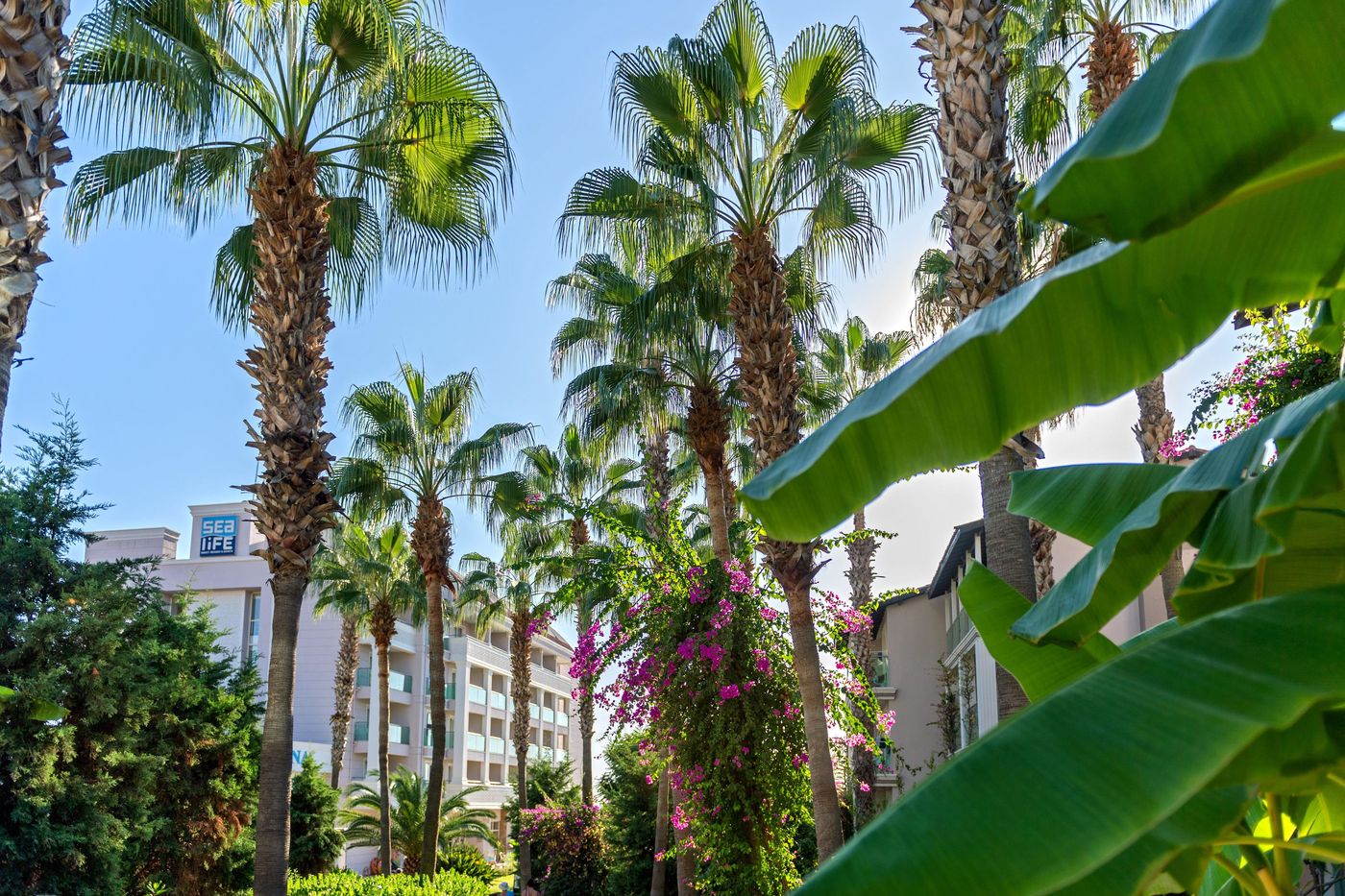 Sealife-Buket-Beach-Hotel-General-view-12