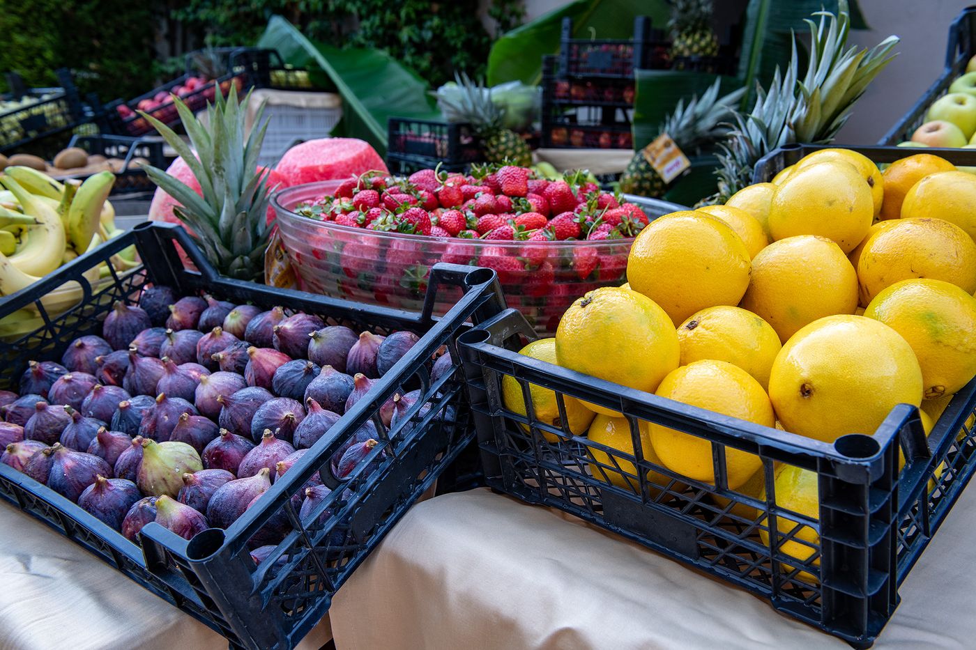 Viking-Star-Hotel-Restaurant-12