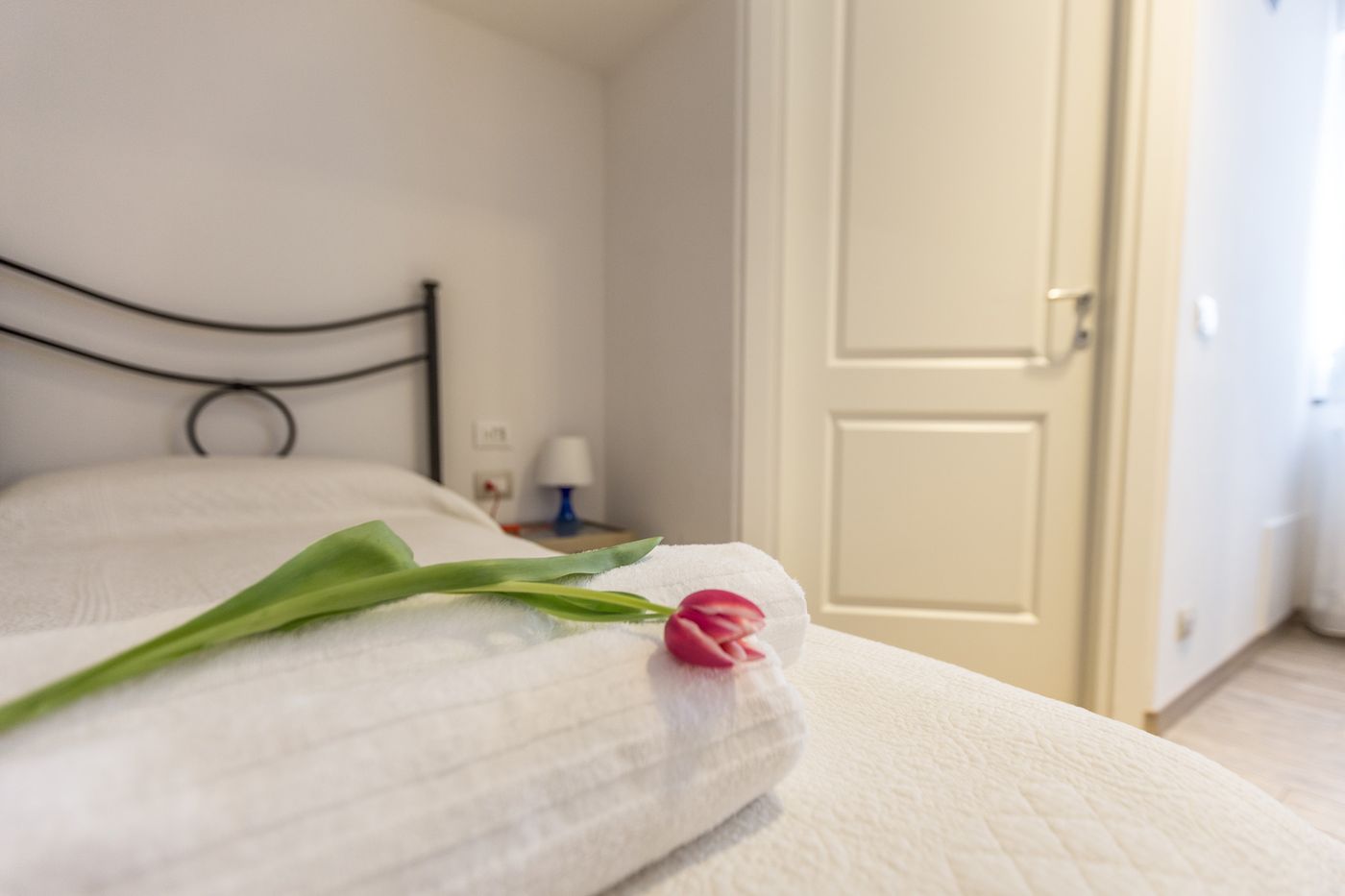 Central City Rooms - Italy - BOLOGNA - Room - 10