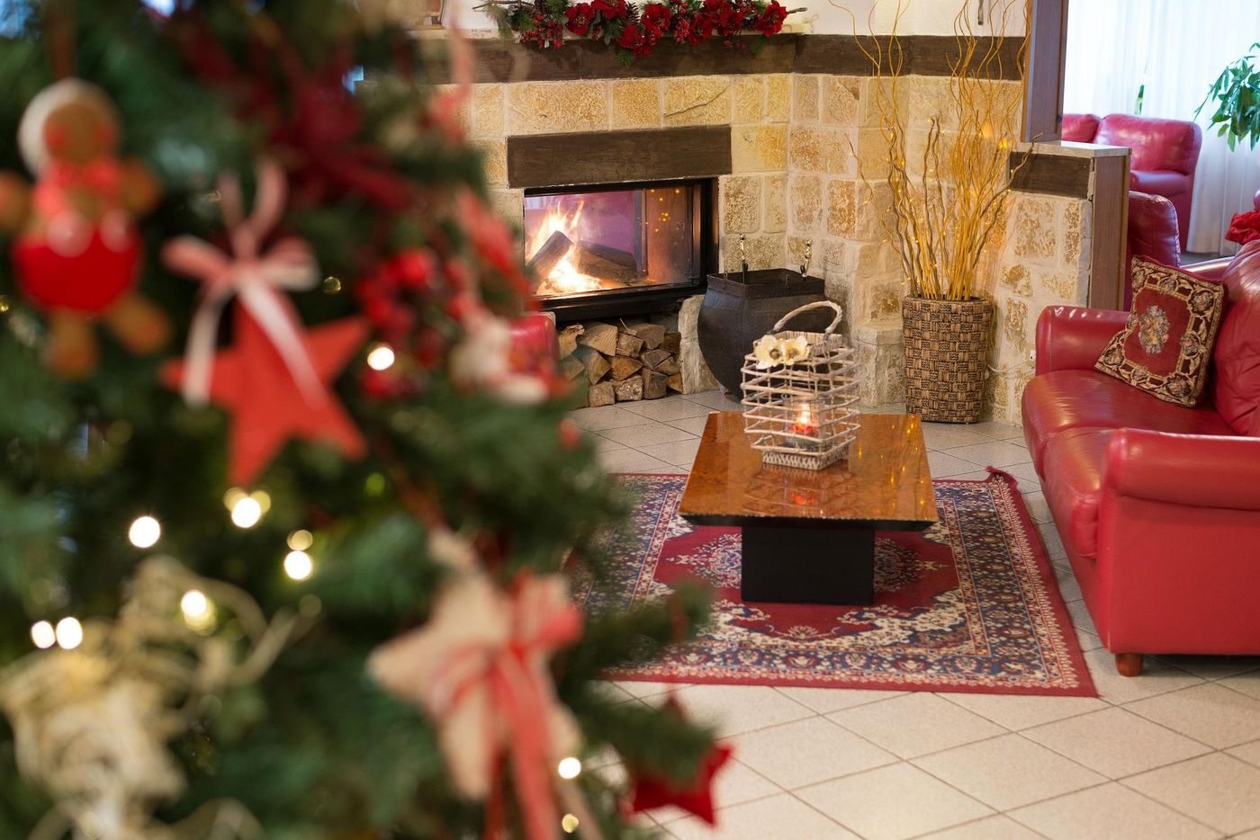 Hotel-Iris-Sports-and-Entertainment-9