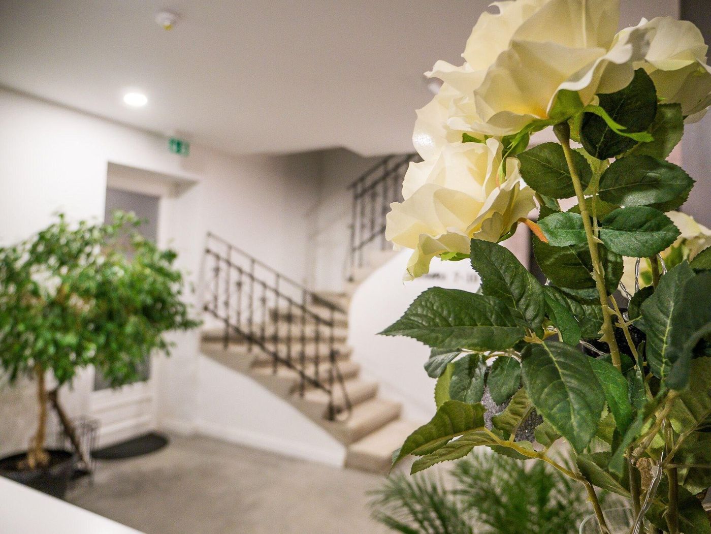 Casablanca Boutique Bed & Breakfast-Croatia-ZAGREB-Lobby-6