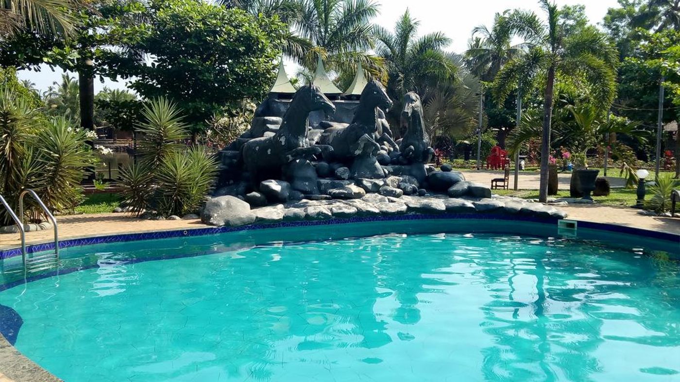 Primo Bom Terra Verde