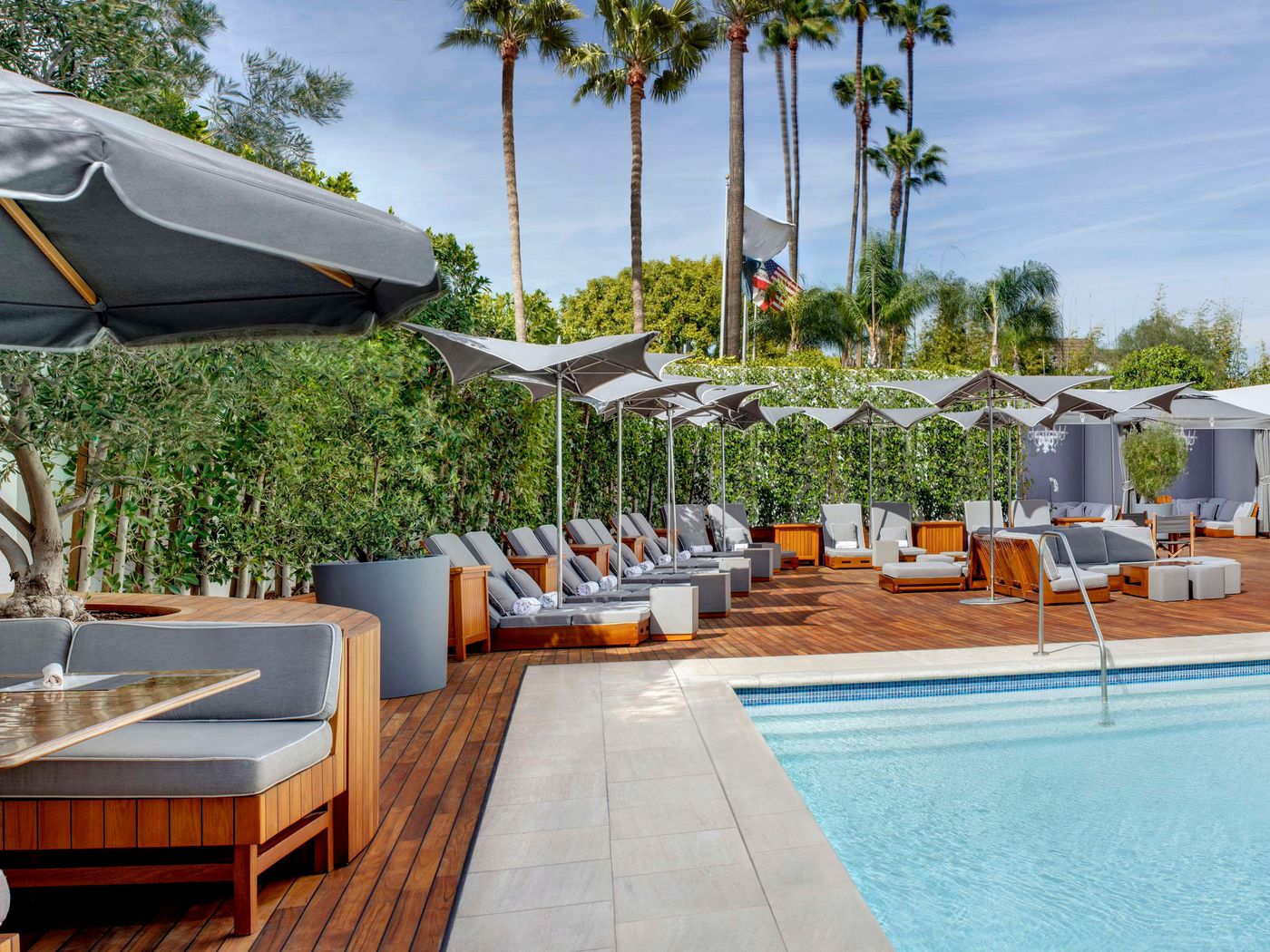 Cameo-Beverly-Hills-Pool-56
