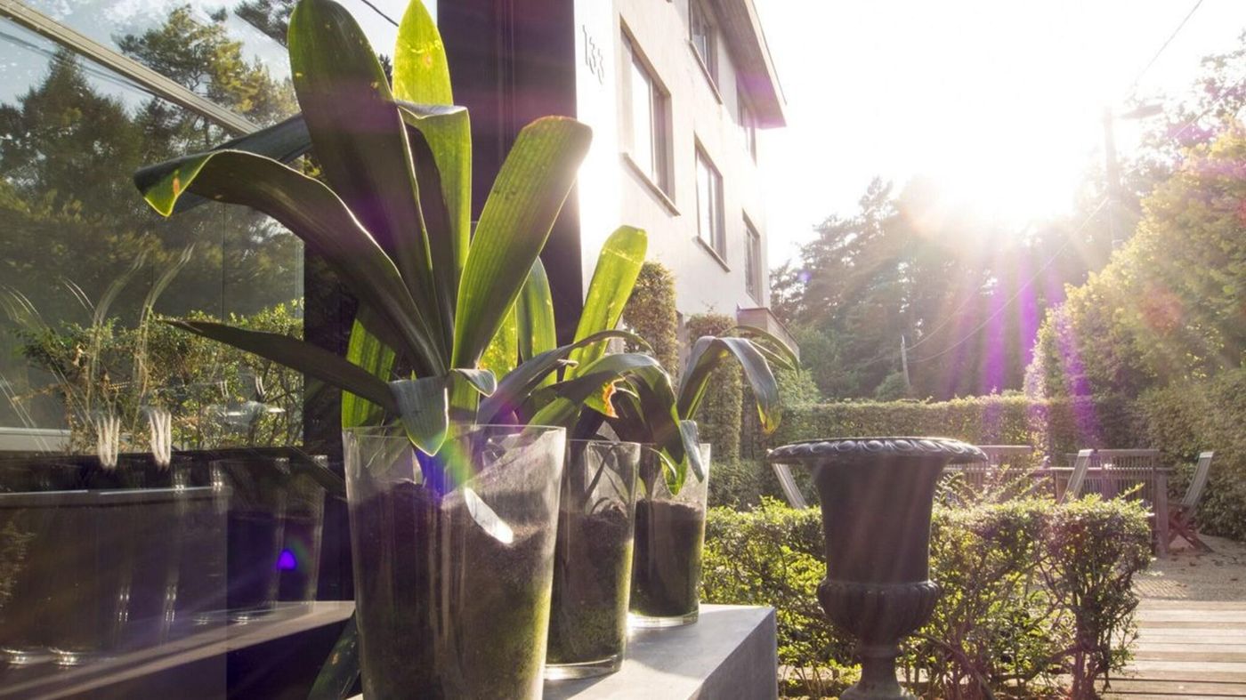 Domein Martinus-Belgium-ZOERSEL-General view-10
