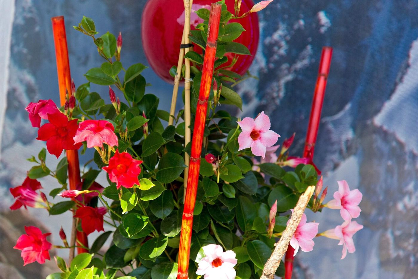 Berghof Graml-Austria-HALLWANG-General view-4