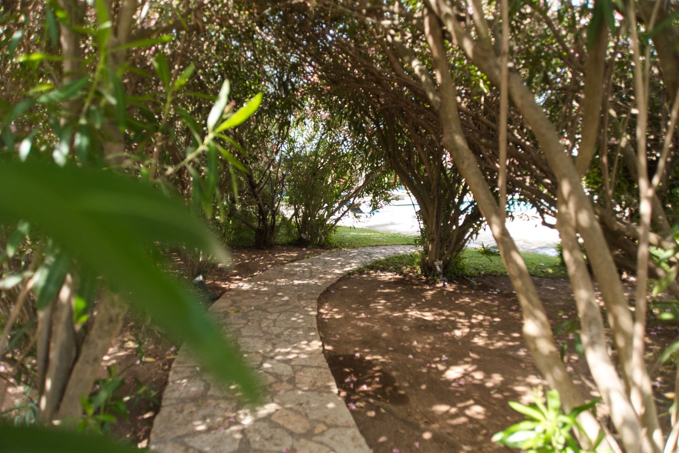 Relais-Antiche-Saline-Pool-40