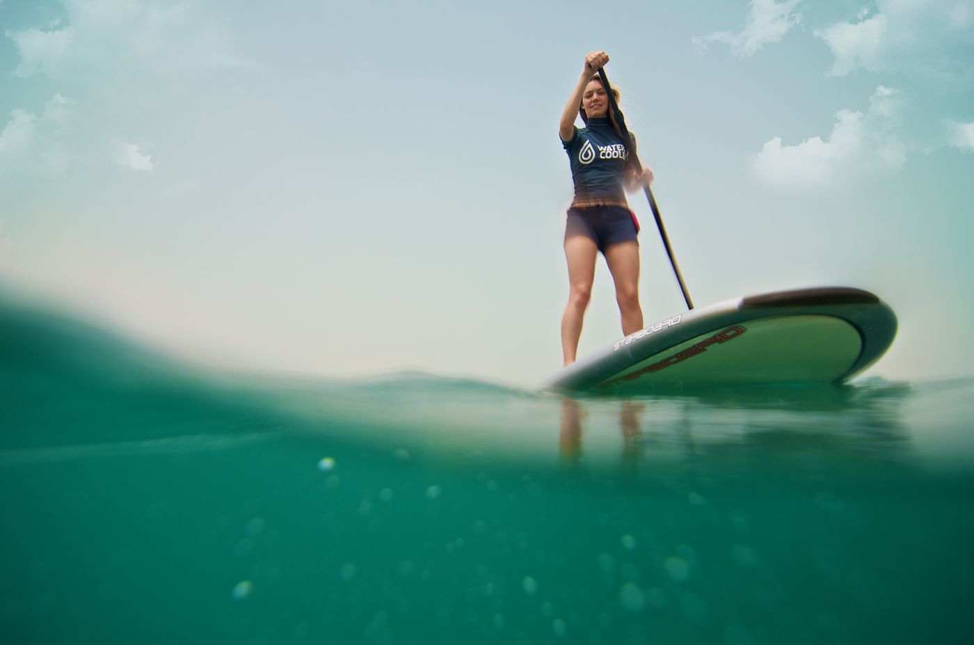 JA-Palm-Tree-Court-Sports-and-Entertainment-70