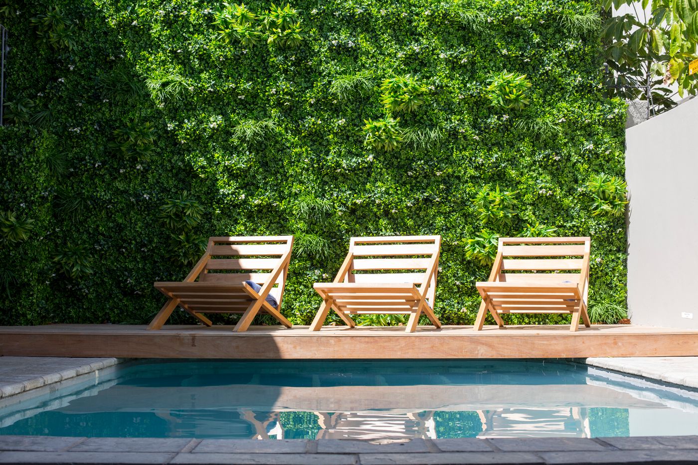 Antrim Collection - South Africa - Cape Town - Pool - 8