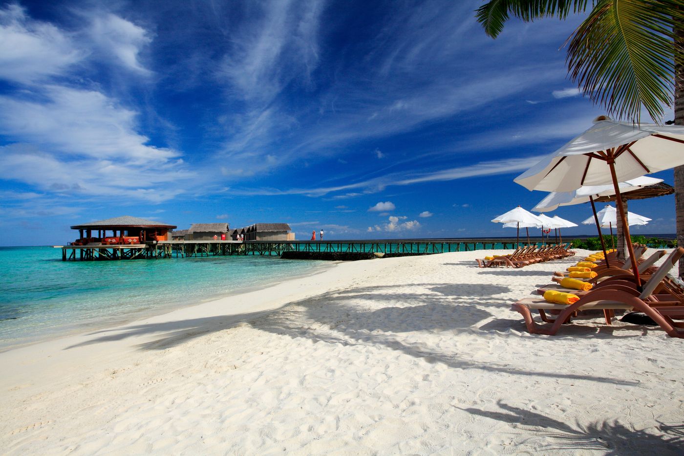 New - Centara Ras Fushi Resort & Spa Maldives - Adults Recommended